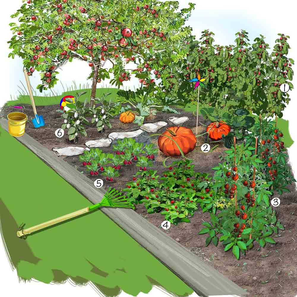 Potager Original Idees D Amenagement Truffaut