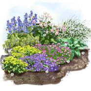 Les Vivaces Fleuries Au Jardin Id es D am nagement Truffaut Les Vivaces Fleuries Au Jardin Id es D am nagement Truffaut