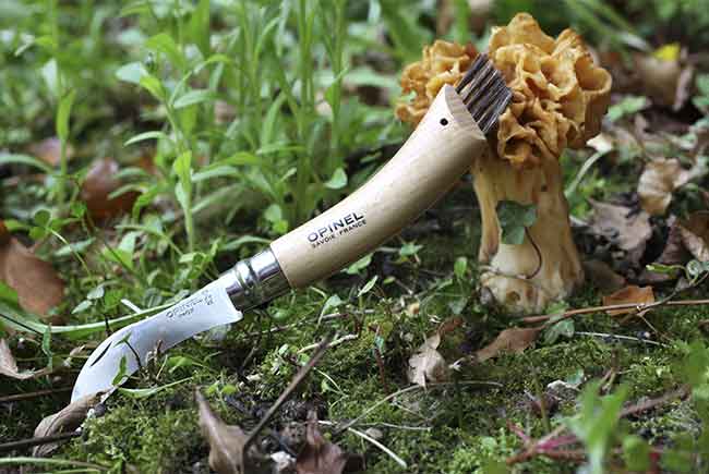 Couteau de poche Opinel pour champignons