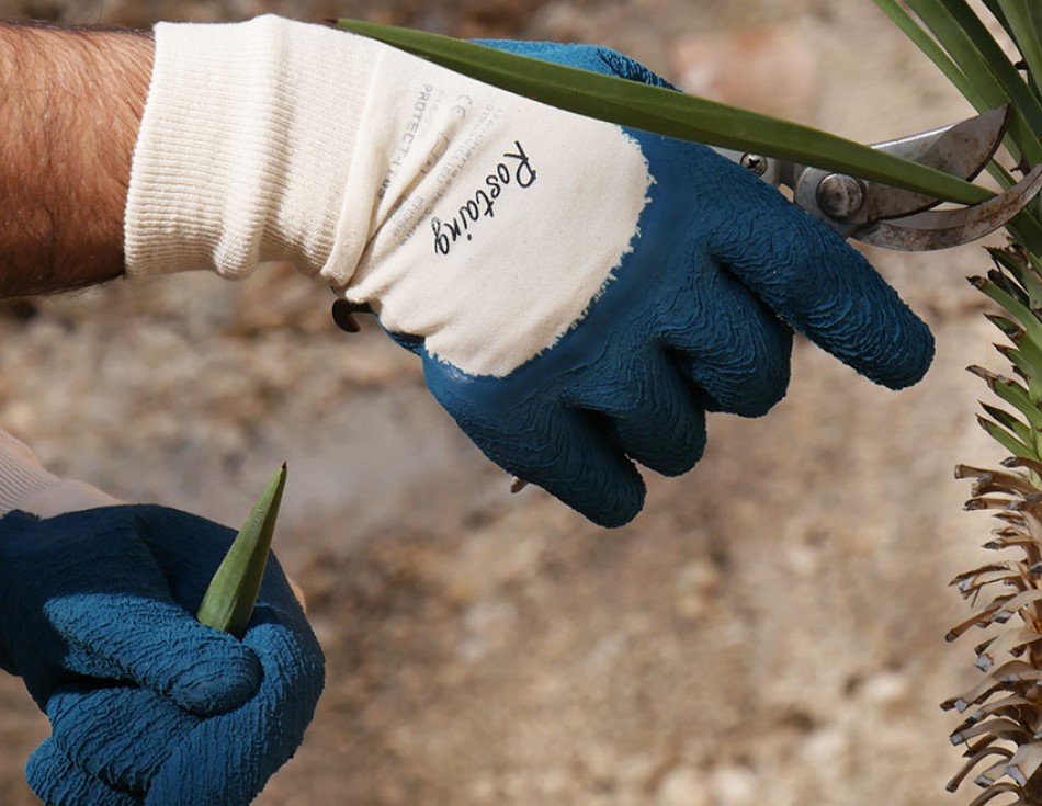 Gants de protection Pro Rosiers pour manutention générale de jardinage