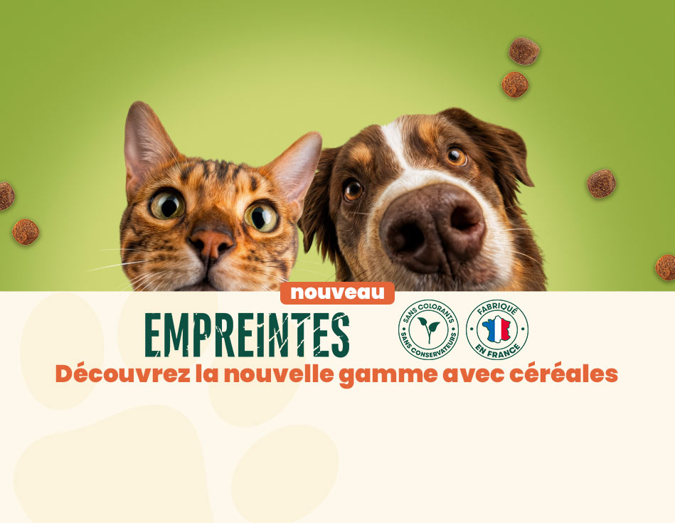 Empreintes