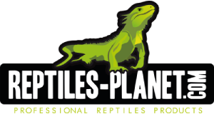 Reptiles planet