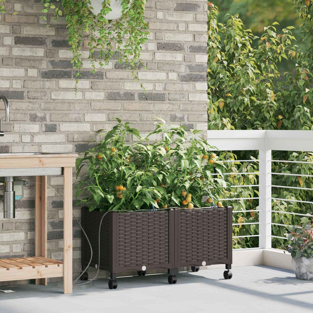 Lot bacs à fleurs pp système irrigation automatique pour jardin sur roues 80x40x43cm marron