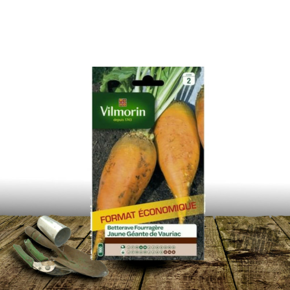 Graines de betterave jaune géante de vauriac - vilmorin sachet économique