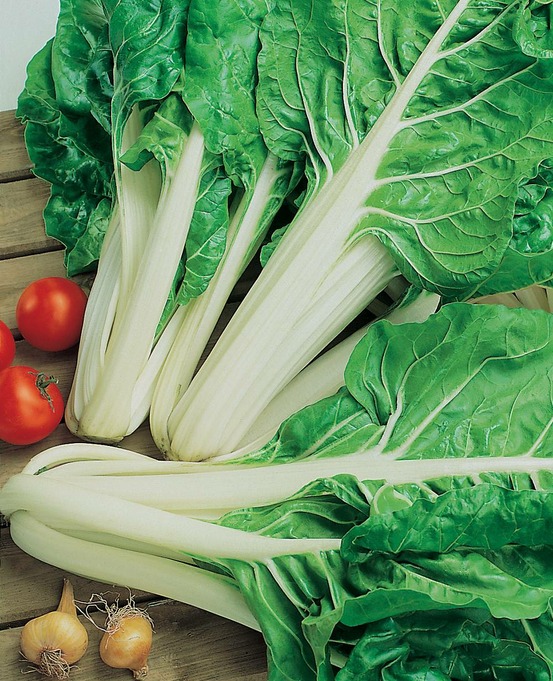 Poiree verte a couper - 5 g