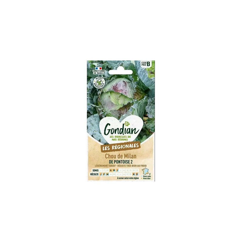Sachet de graines chou de milan de pontoise 2 gondian