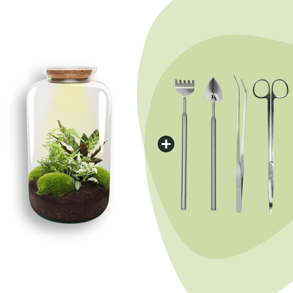 Terrarium à composer bouteille en verre recyclé - ø23-h43cm - avec kit 4 outils - terrarium diy