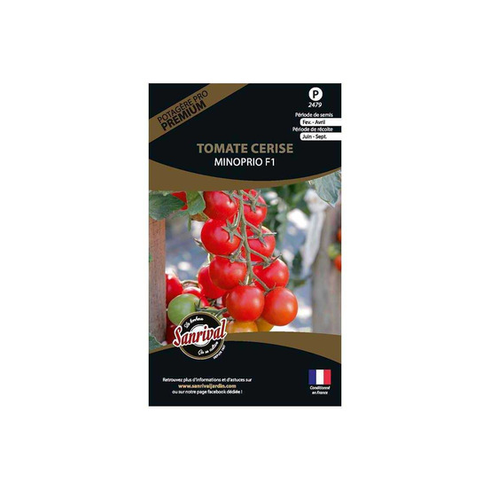 Graines potagères premium tomate cerise minoprio