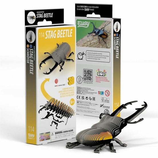 Coléoptère lucanidae – eugy 3d