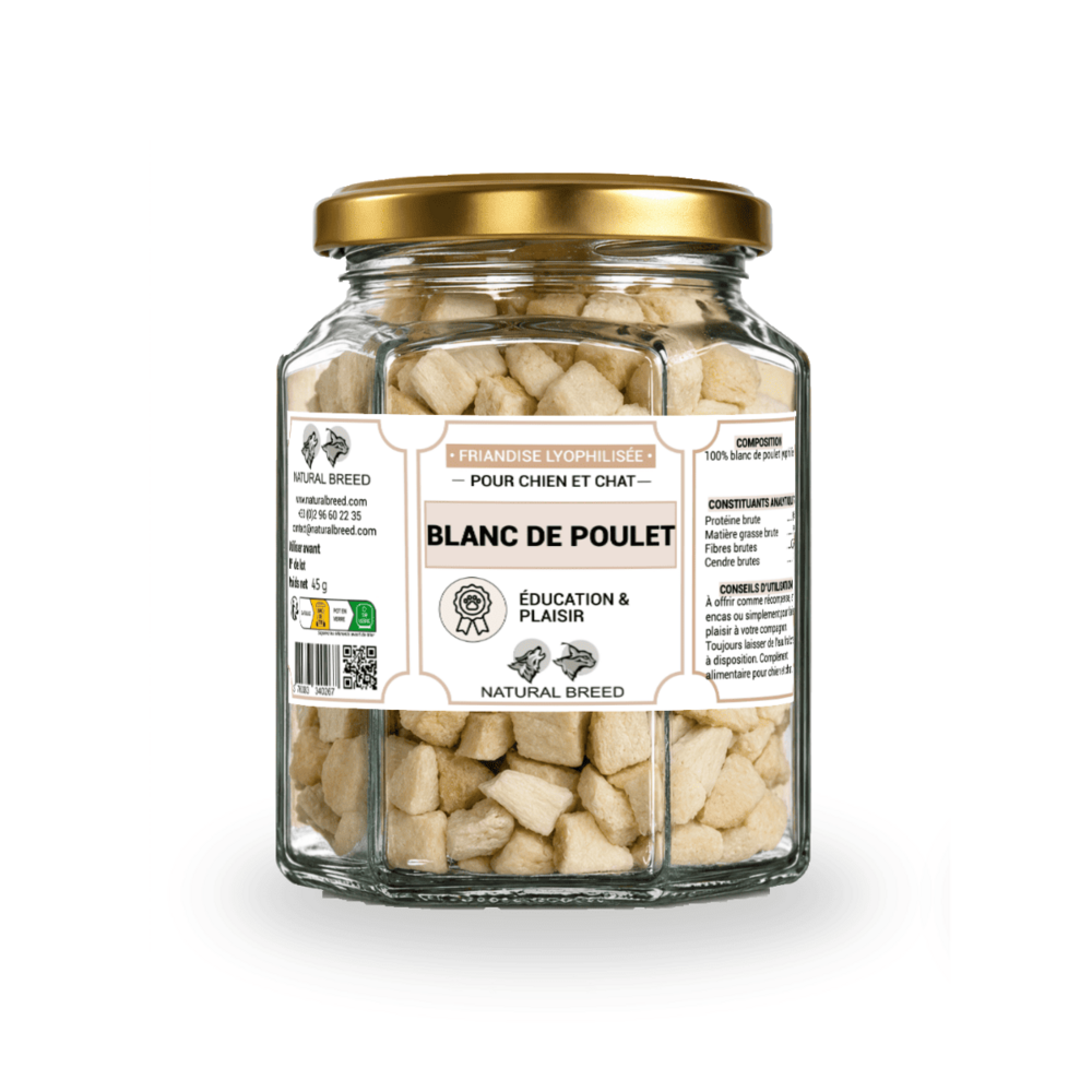 Friandises lyophilisées pour chien et chat – 100 % blanc de poulet – snack naturel