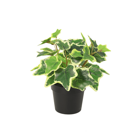 Lierre blanc plante artificielle - h19 cm - ø9 cm