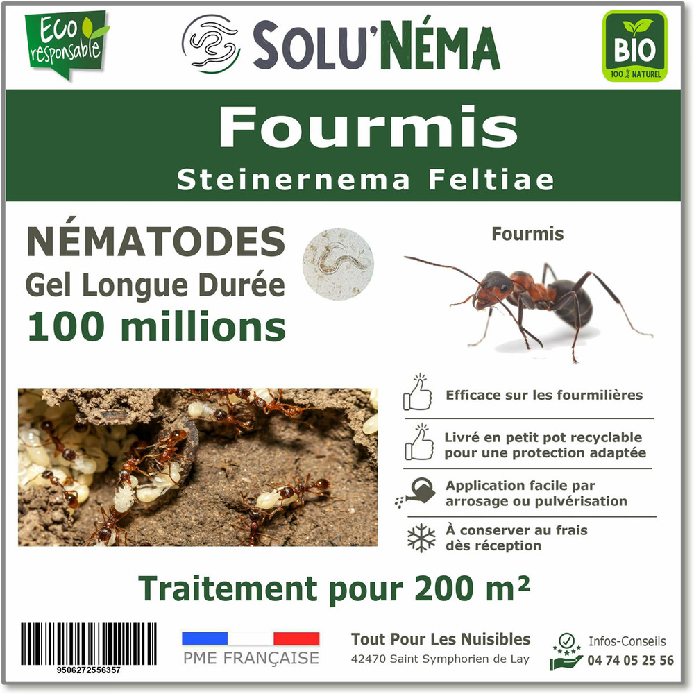 Solunéma - Fourmis - Nématodes Steinernema Feltiae (SF) -100 millions pour 200m²