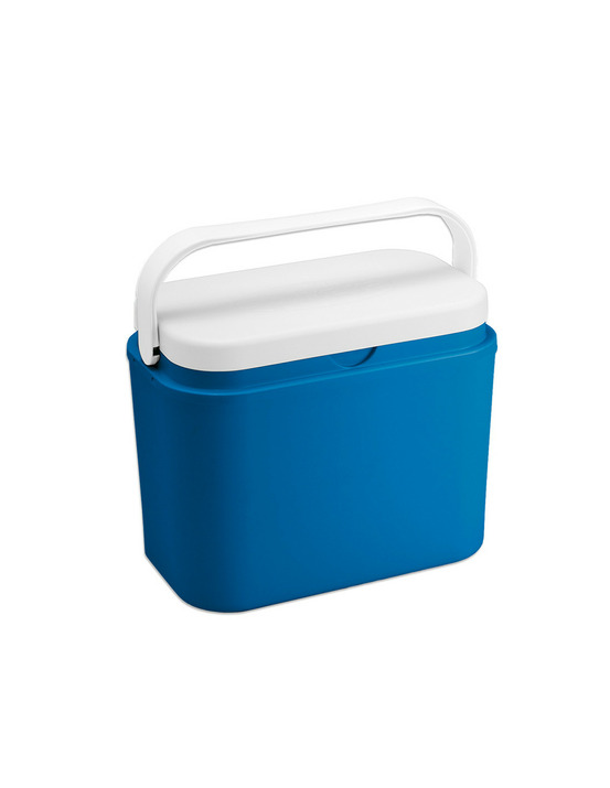 Glacière de camping 10 litres 31x20x26cm modele champs bleu