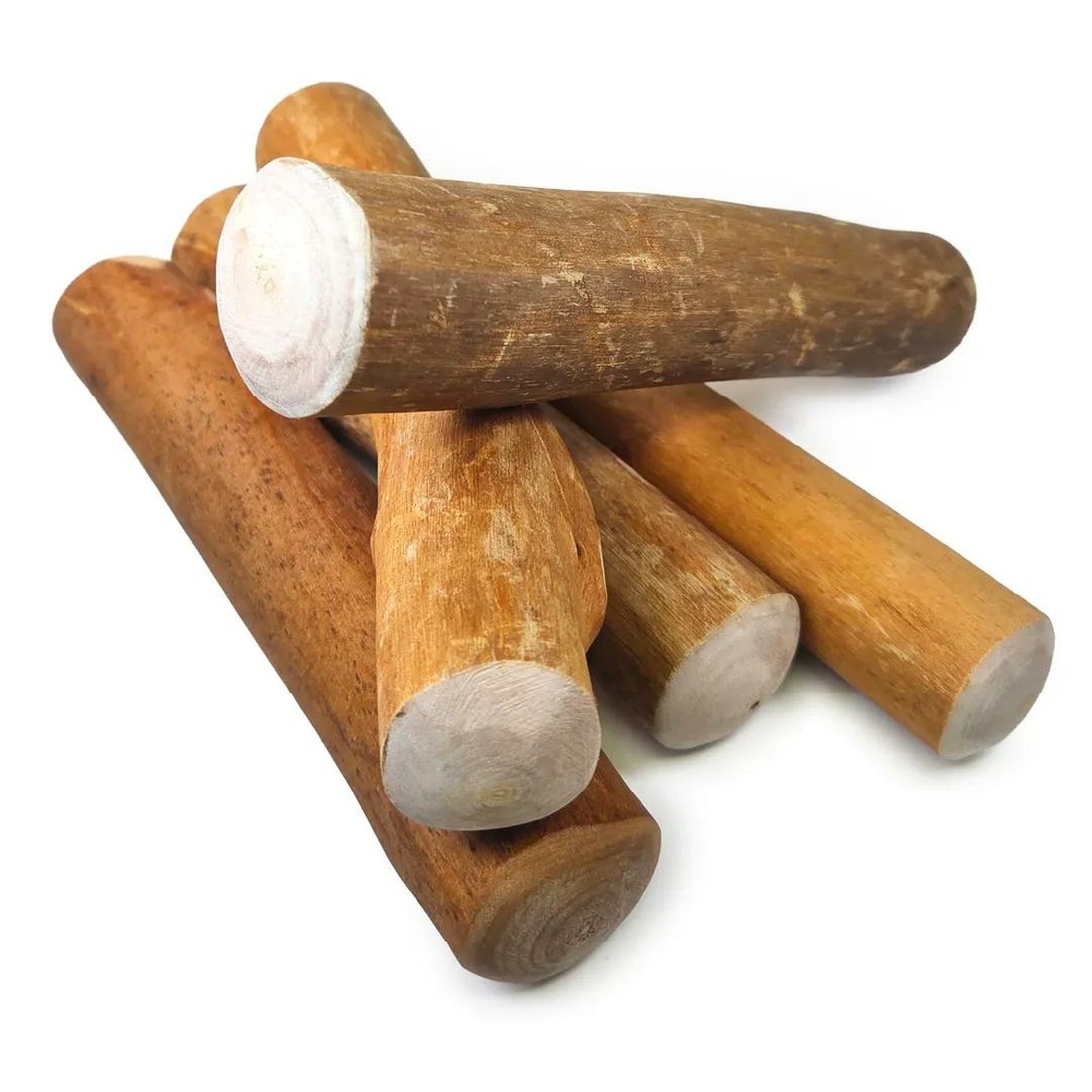 Famille (5 bâtons) à mâcher en bois de cannelle de java, taille m, jouet exclusif pour chien moyen (8-16kg)
