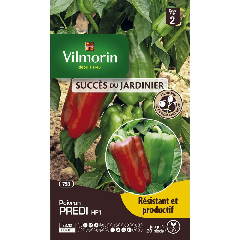 Sachet graines poivron predi hf1