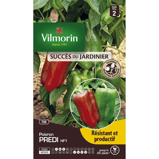 Sachet graines poivron predi hf1