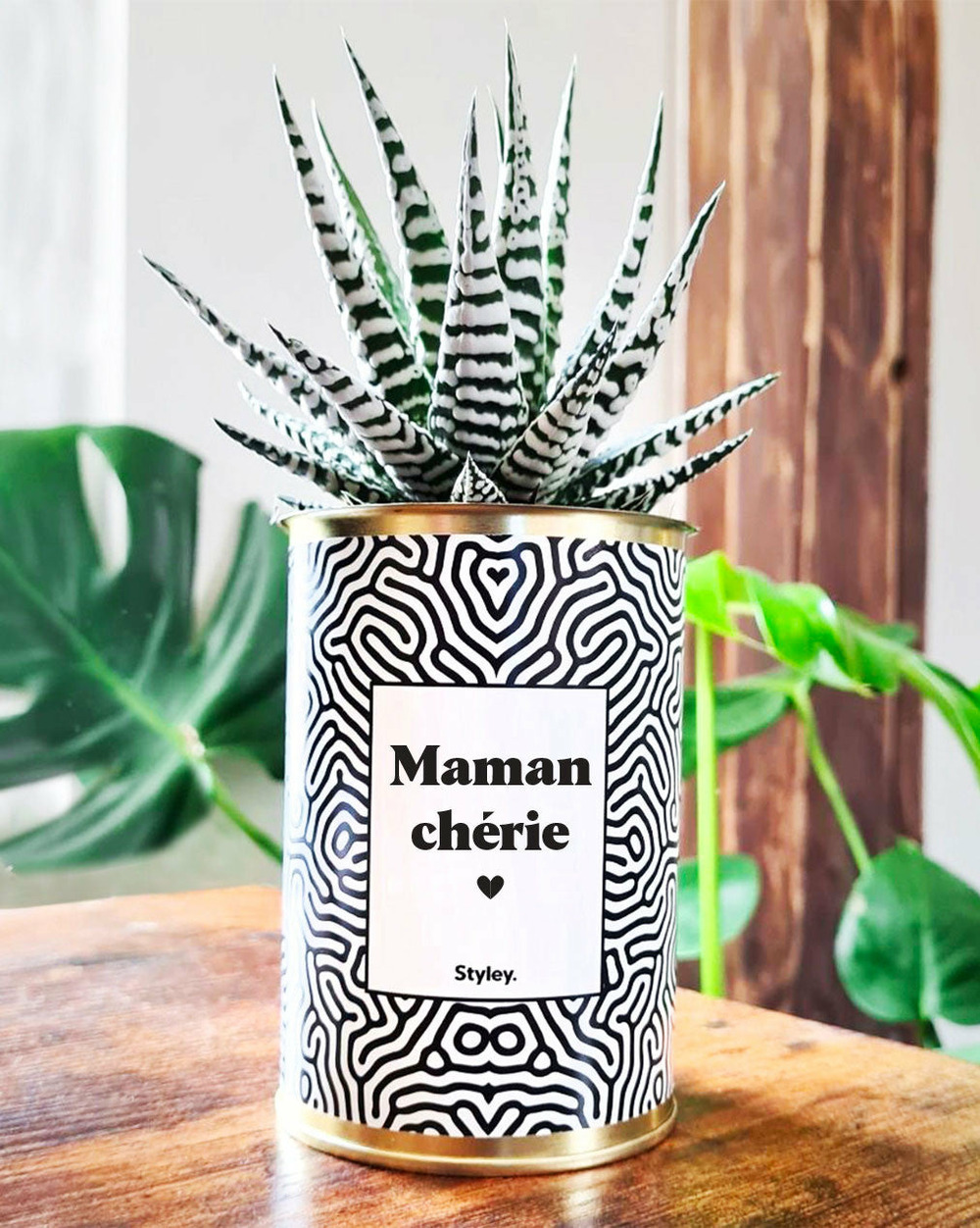 Plante à message - maman chérie - cactus