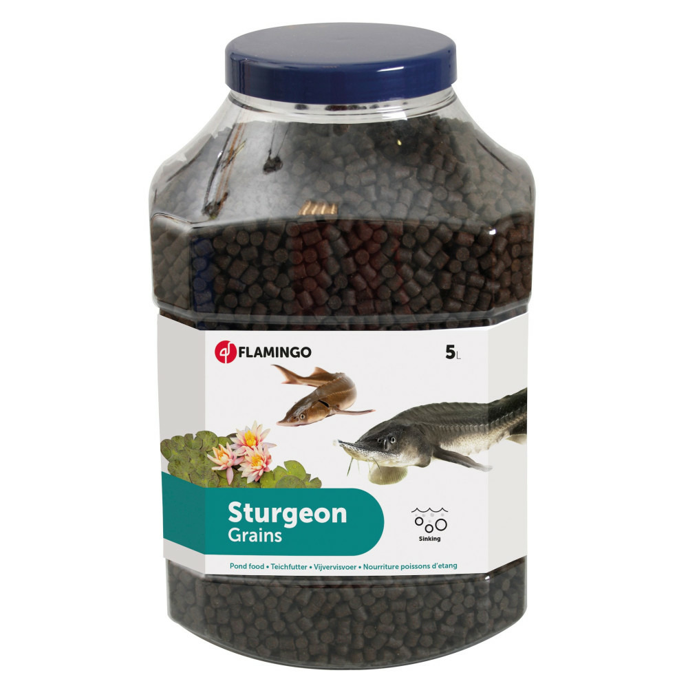Esturgeons nourriture en granulés ø 6 mm 5 litres
