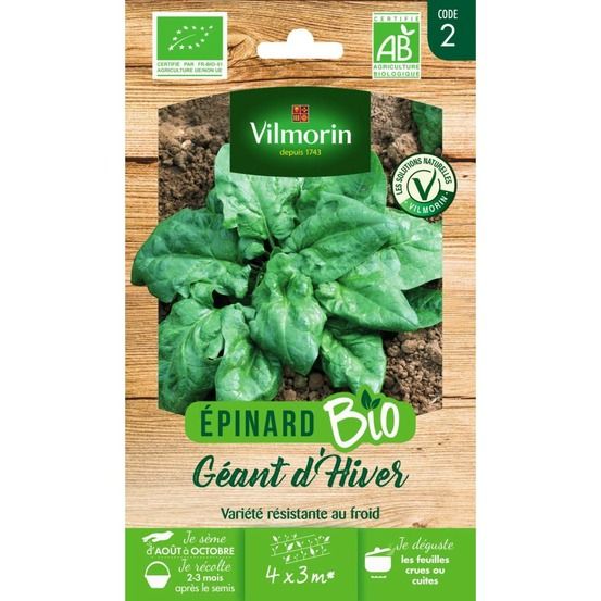 Sachet graines epinard géant d'hiver bio - spinacia oleracea