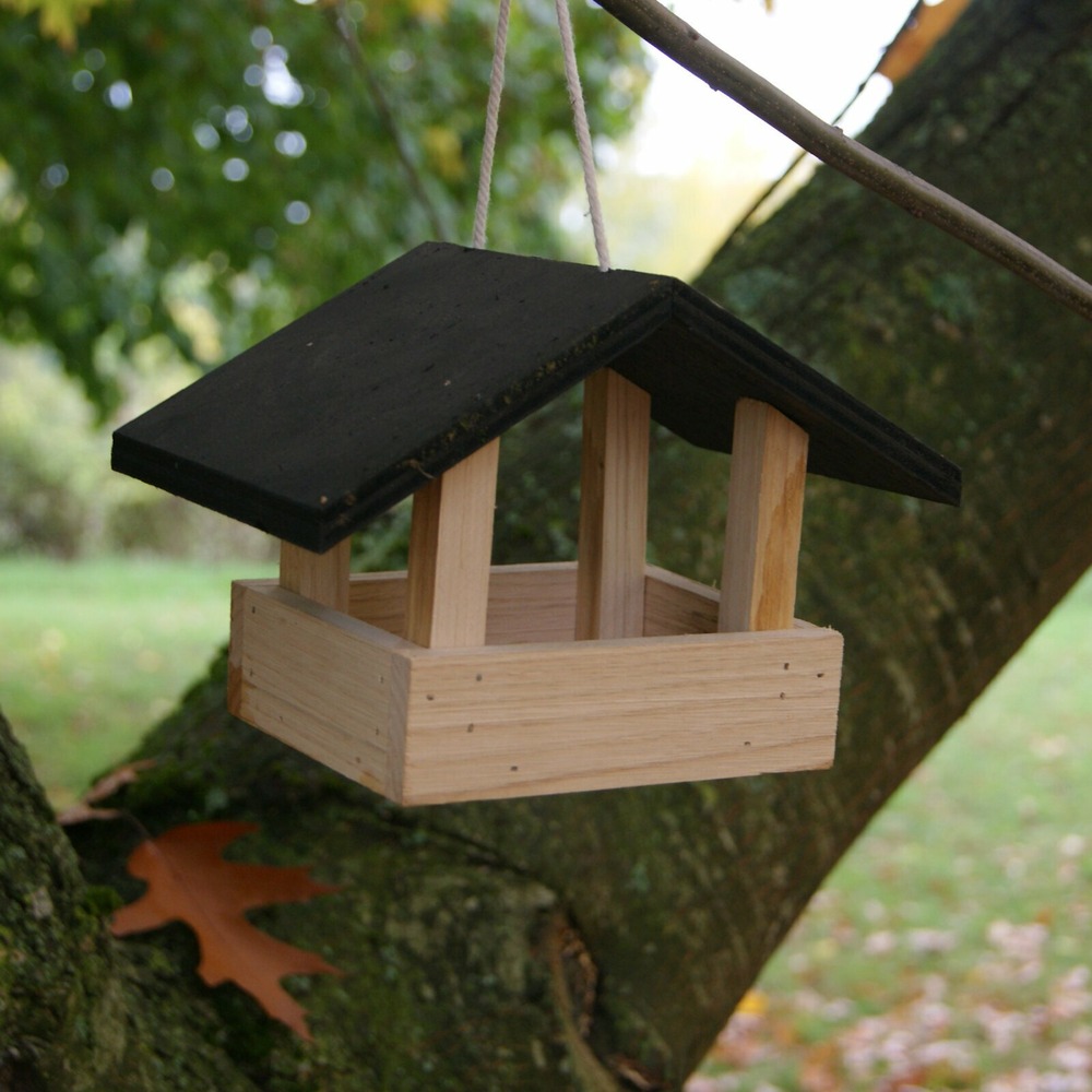 Mangeoire oiseau le déjeuner châtaignier