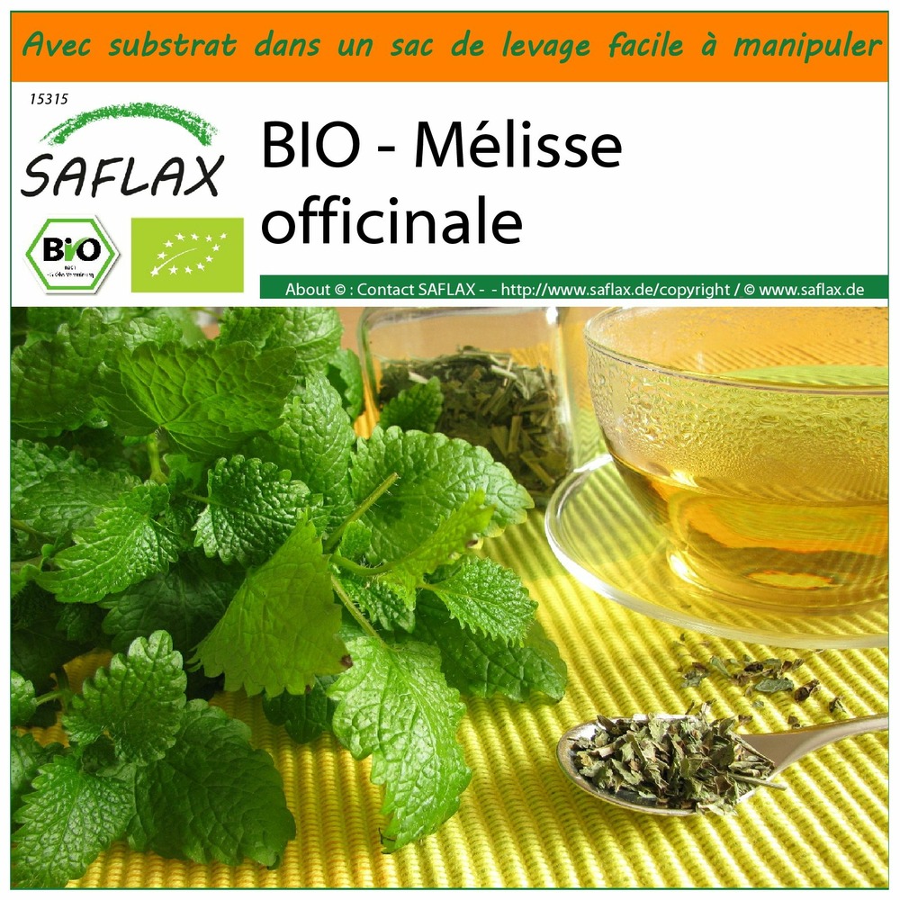Garden in the bag - bio - mélisse officinale - 1000 graines - melissa officinalis
