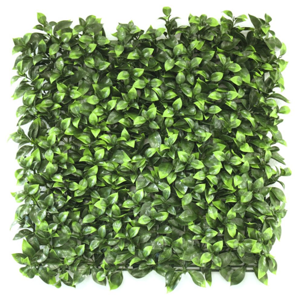 Mur végétal synthétique - feuilles de gardénia - intérieur et extérieur - 1 m x 1 m