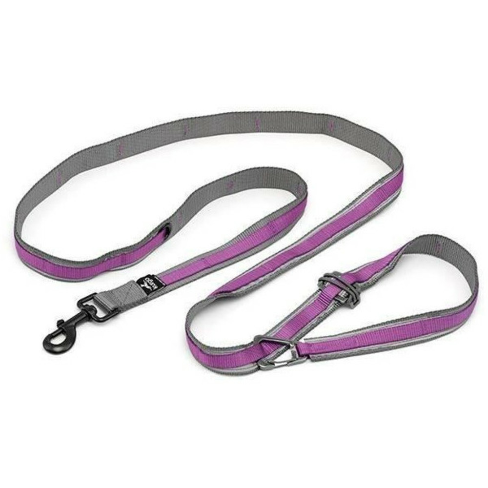 Laisse mains libres - kurgo - quantum - 6 positions - 120 a 180 cm - violet