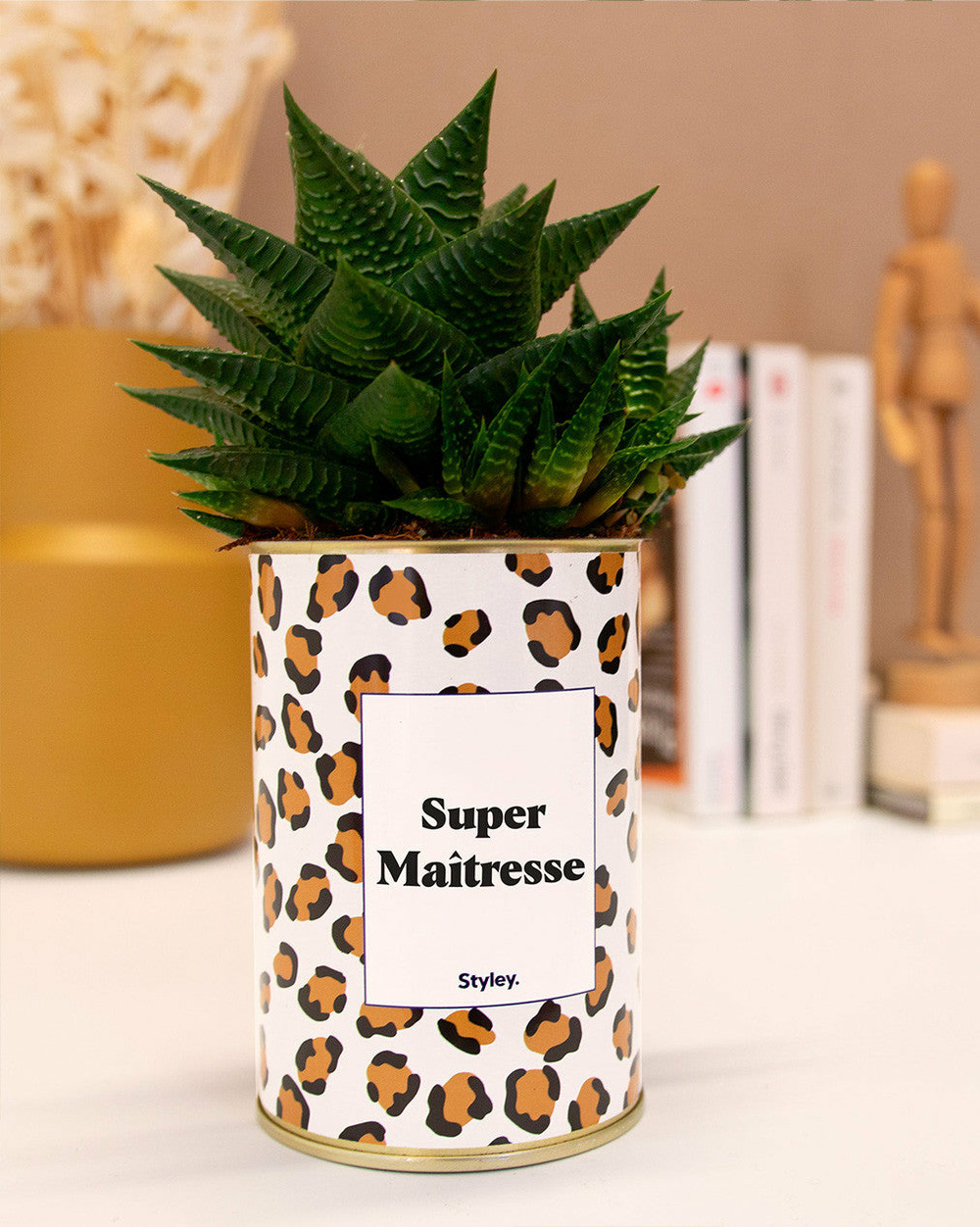 Plante personnalisée - super maîtresse - cactus