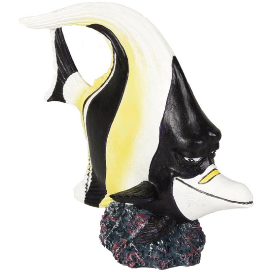 Leto zancle cornu. 11 x 6 x 11 cm. Décoration aquarium