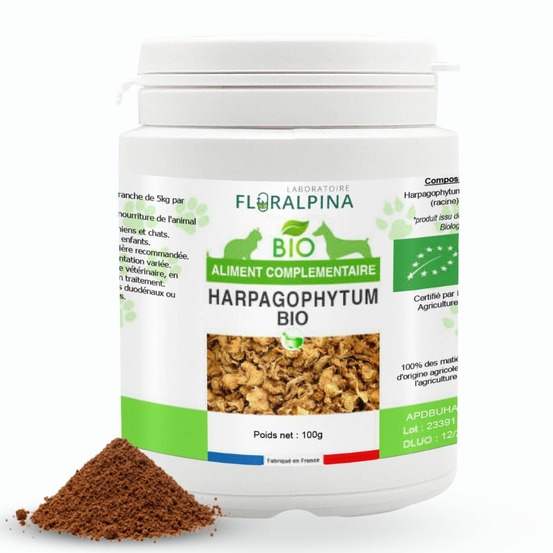 Harpagophytum bio 100g