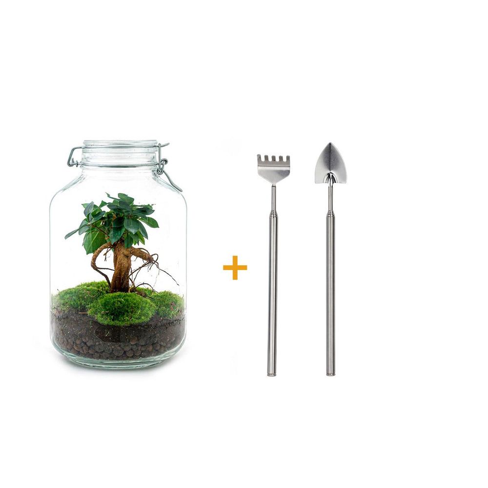 Terrarium à composer bouteille en verre recyclé - ø18-h28cm - avec râteau et pelle - terrarium diy