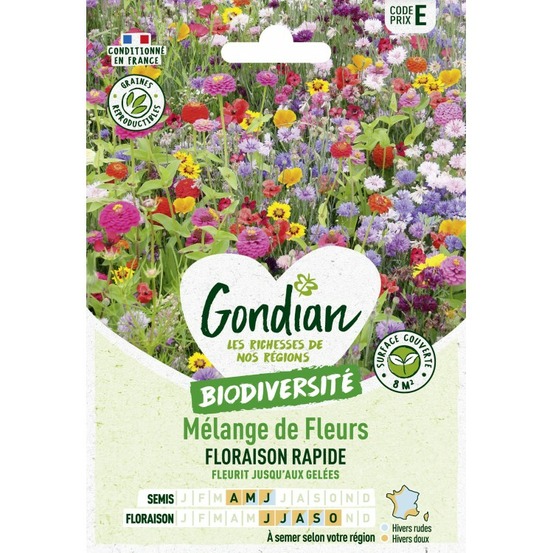 Melange fleurs floraison rapide