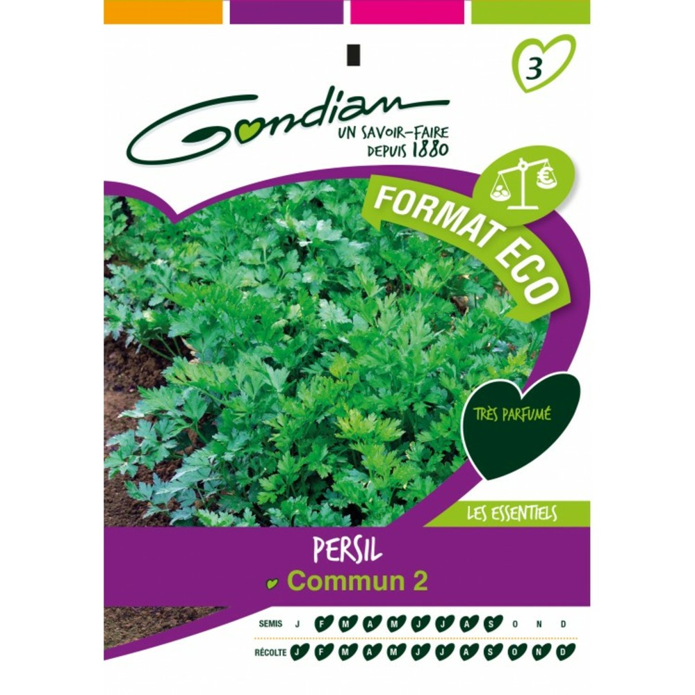 Persil commun 2