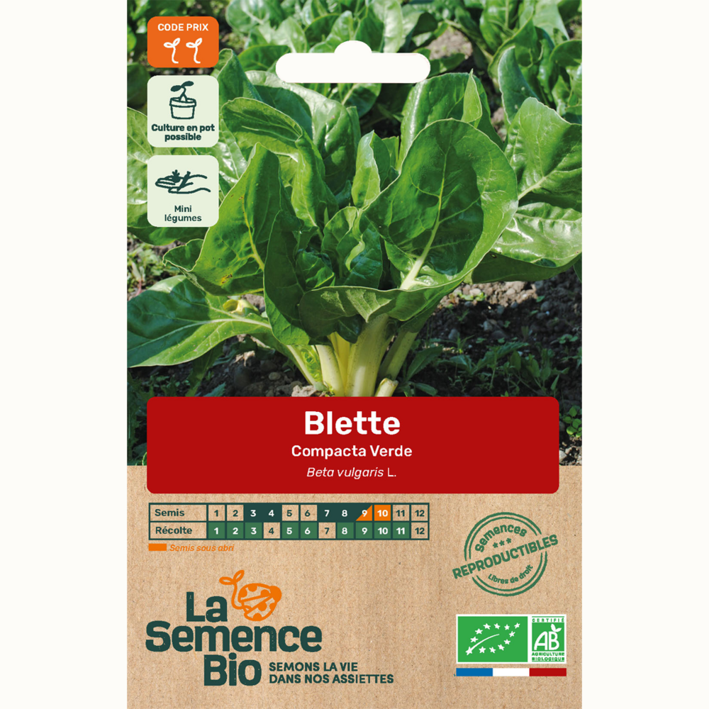 Blette compacta verde - graines bio