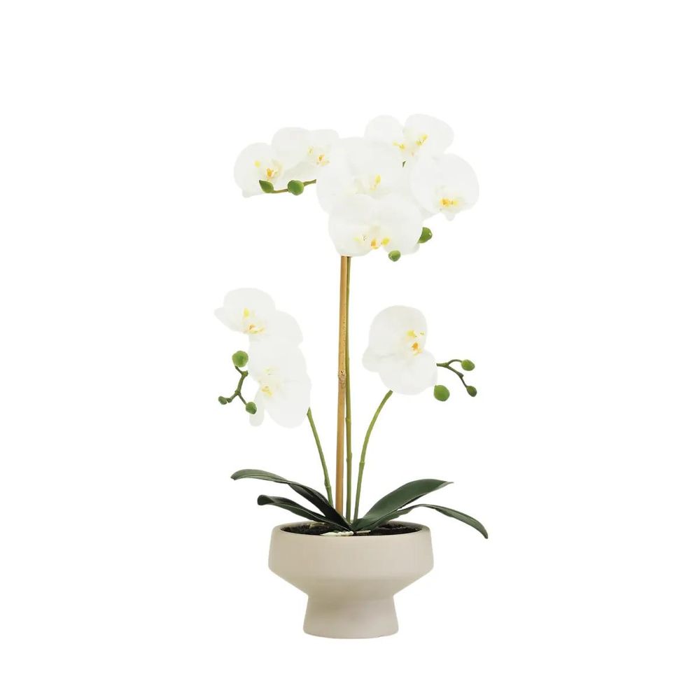 Orchidée artificielle toucher naturel 45cm