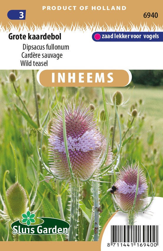 Sarrasin commun, blé noir sachet de 1.5g