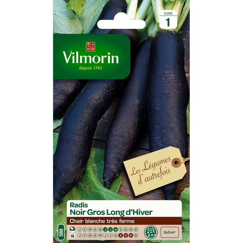 Sachet graines radis noir gros long d'hiver