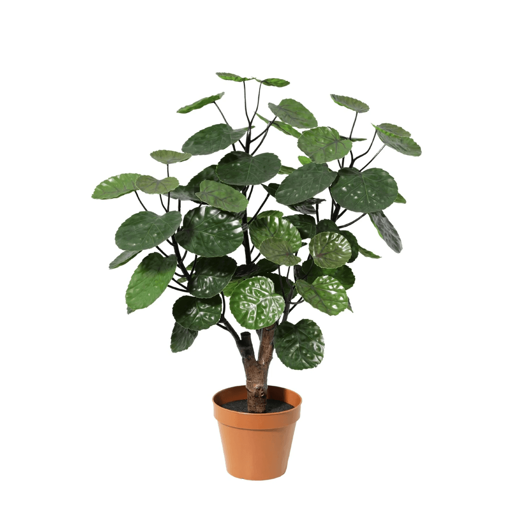 Polyscias fabian - 55cm - ø15cm - plante artificielle