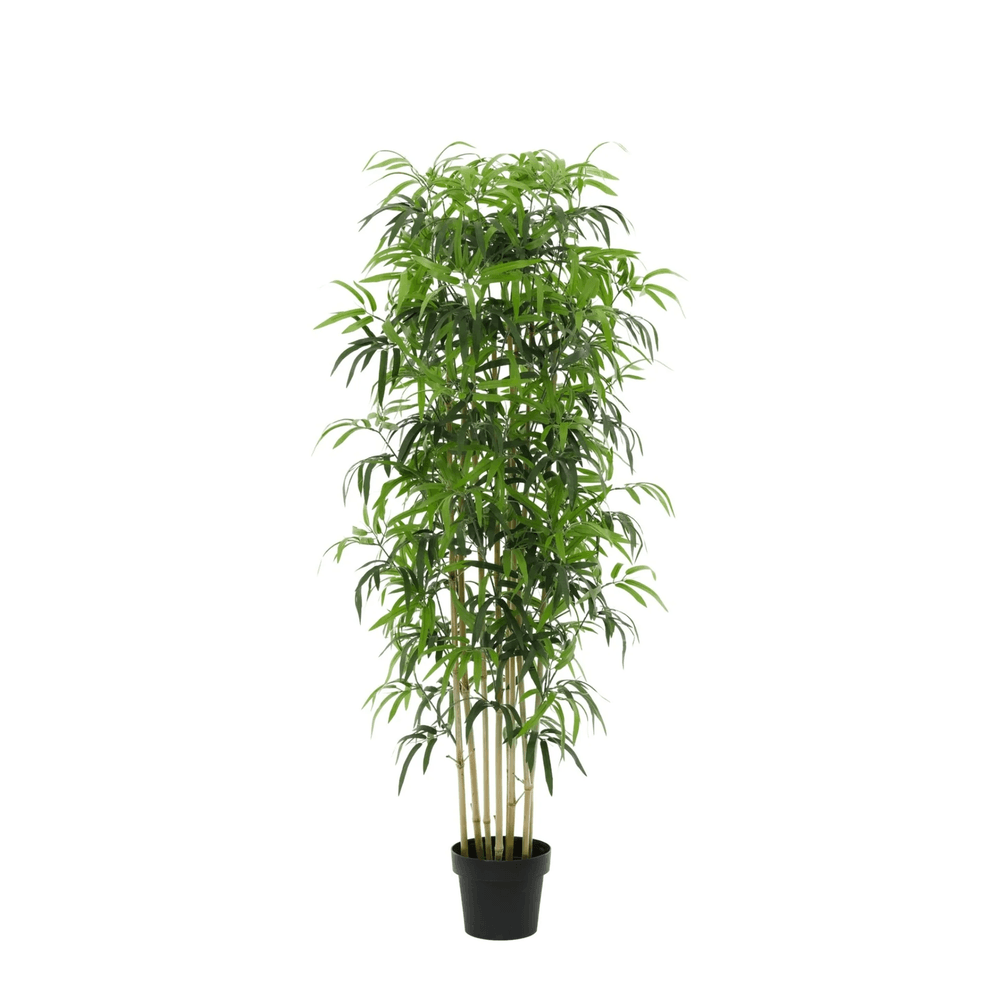 Bambou - 150cm - ø21cm - plante artificielle