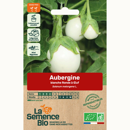 Aubergine blanche ronde à 'uf - graines bio