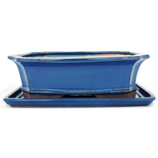 Bol bonsaï avec soucoupe taille 5 - bleu - carré - modèle g4 - l 31cm - l 23cm - l 23cm - h 9,5 cm