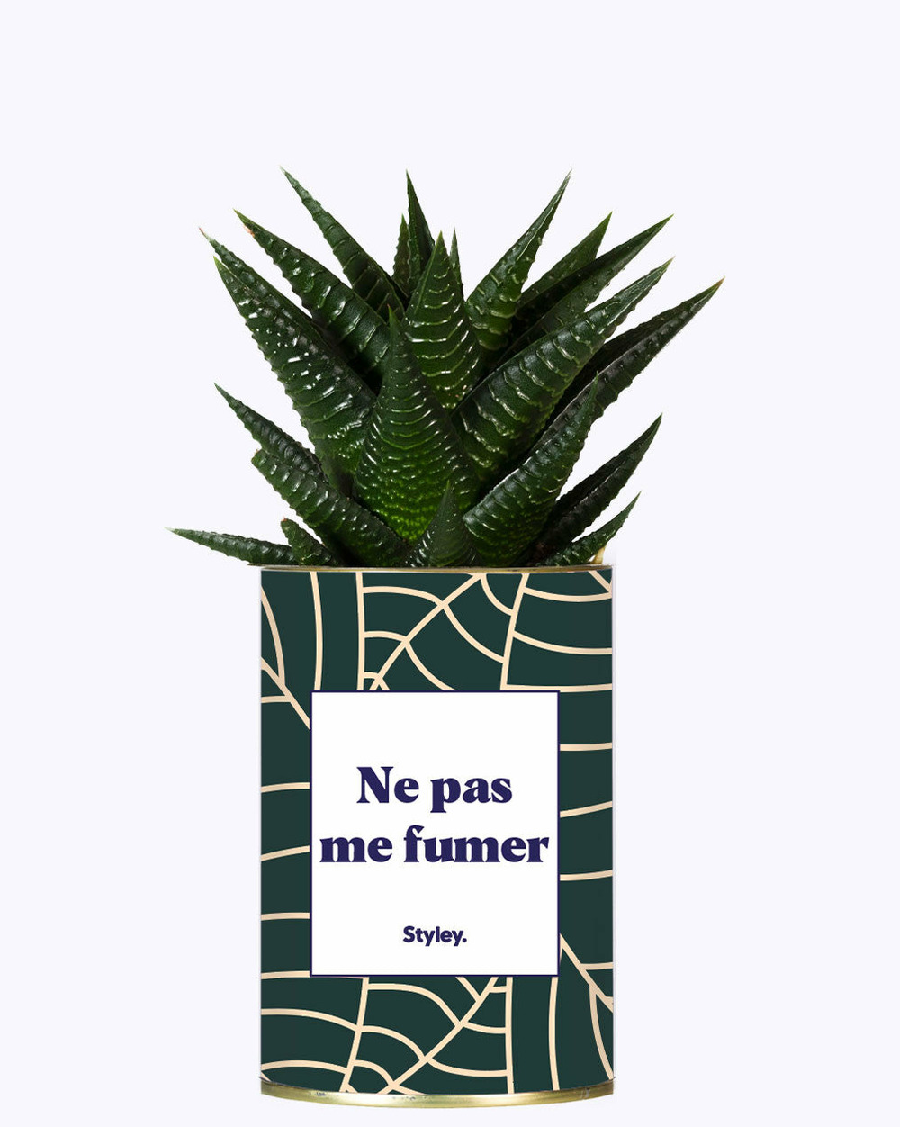 Idée cadeau - ne pas me fumer - cactus