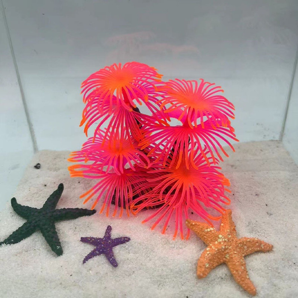 SOXUI Corail Concassé Pour Aquarium - 0,5kg (78L) - Stabilise Le PH - Avec Sac Filtrant Réutilisable