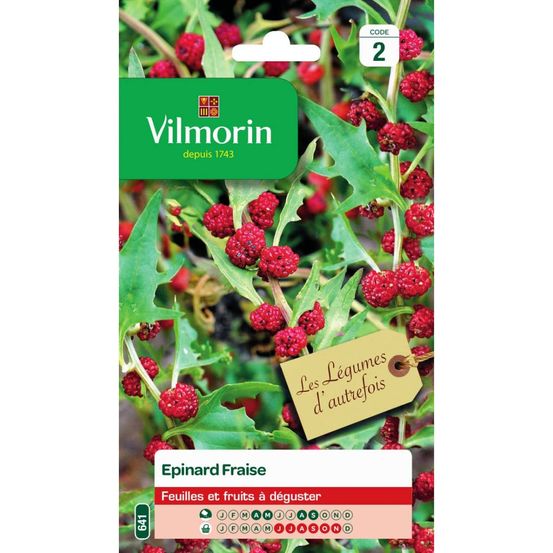 Sachet graines epinard fraise - chenopodium capitatum