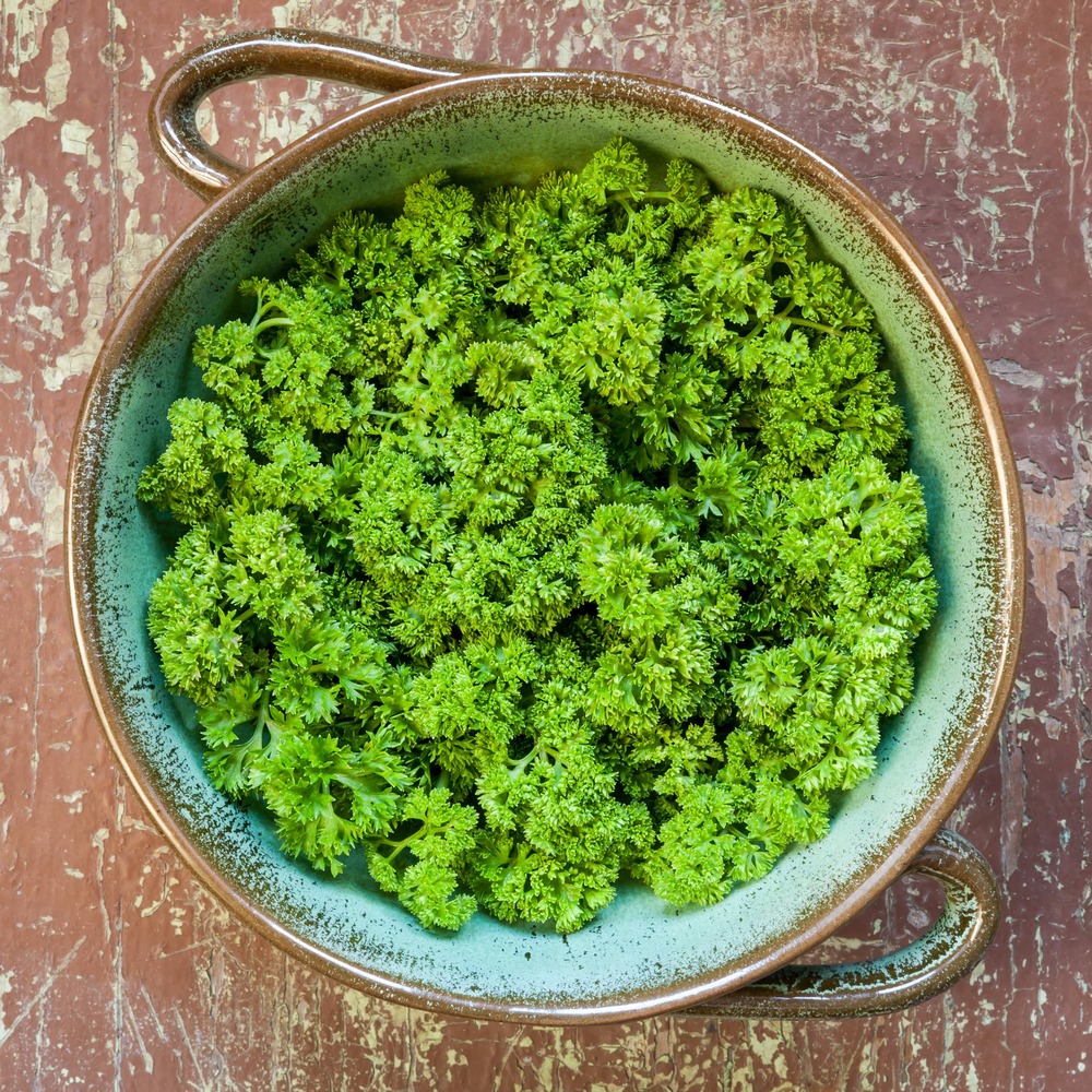 Sachet de graines de persil frisé double bravour - sachet de 4 grammes - petite entreprise française