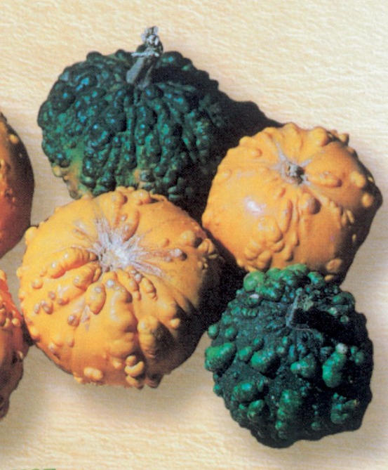 Galeuses melange - 3 g