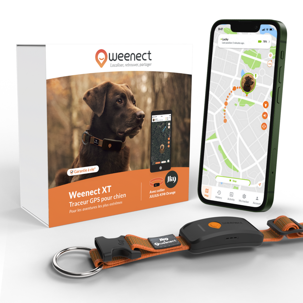 Weenect XT - collier gps pour chien (orange)