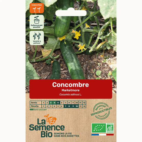 Concombre marketmore - graines bio