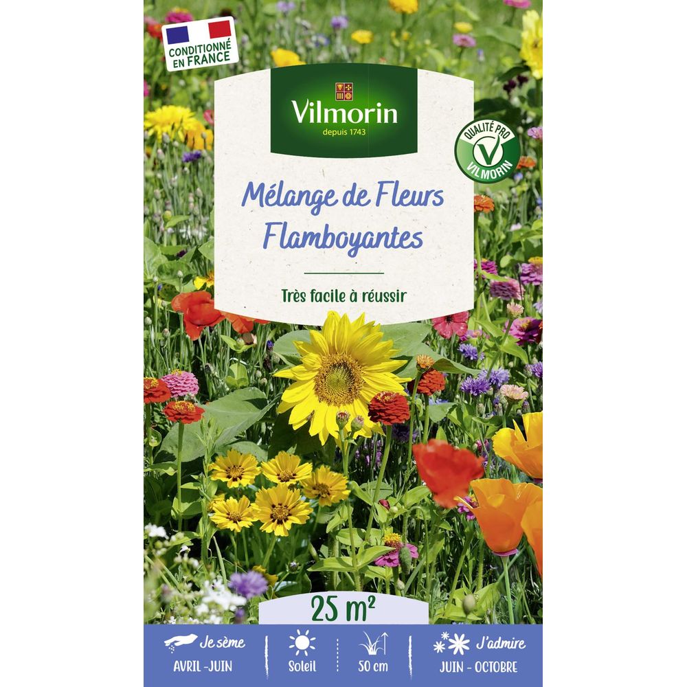 Fleurs flamboyantes - 25 m² - mélange de fleurs