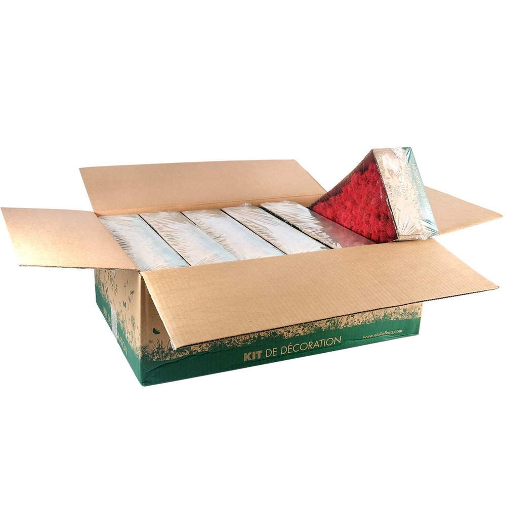 Lic/0557 lichen stabilisée rouge w-box 0,5 kg